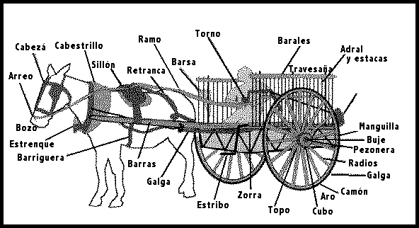 PARTES DEL CARRO