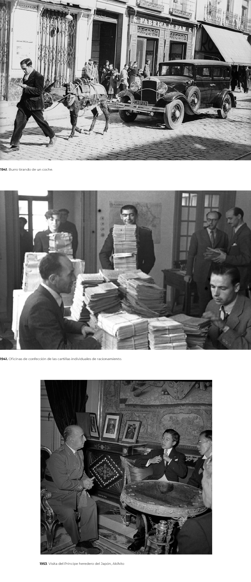 COLLAJE BURROCARTILLASAKIHITO