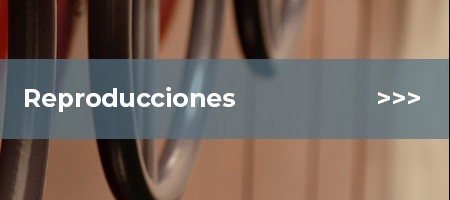 BANNER REPRODUCCIONES2