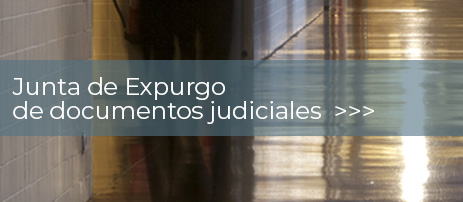 BANNER juntaexpurgojudiciales