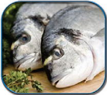 Icono de pescado