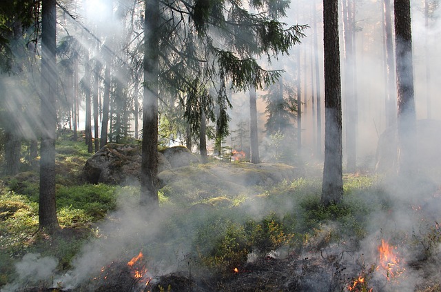 incendio forestal