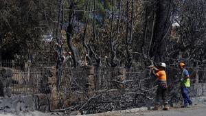 La Comunidad de Madrid crea la Comisión Interdepartamental para la Reconstrucción de la Sierra Oeste tras los incendios Reconstrucción de la Sierra Oeste