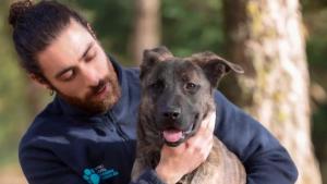 perro en adopción en el Centro Integral de Acogida de Animales 