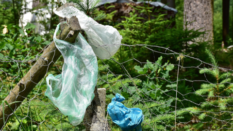 bolsas de plástico usadas tiradas en la naturaleza
