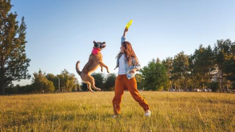 Mujer jugando con un perro