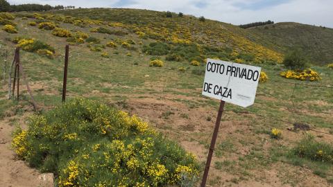 Coto privado de caza