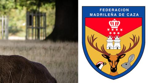 Federación Madrileña de Caza