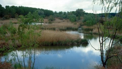 Vista río en Parque Regional del Sureste