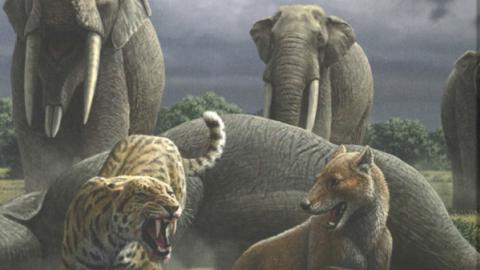 Portada de la publicación La Colina de los Tigres Dientes de Sable