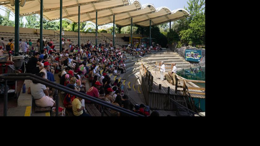 La Comunidad de Madrid facilita que 105 menores tutelados pasen el verano con familias de acogida Familias de acogida en el Parque Faunia de Madrid
