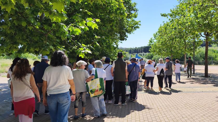Marcha saludable de Coslada