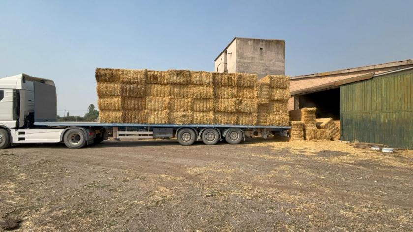La Comunidad de Madrid reparte más de 130.000 kilos de comida y 60.000 litros de agua para los animales silvestres afectados por los incendios Forraje para animales salvajes