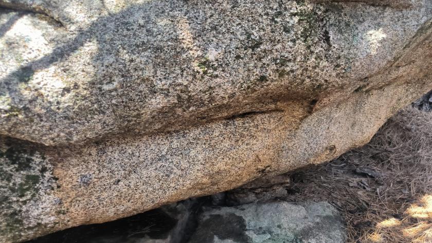 Limpieza de pintadas en el área natural protegida de La Pedriza