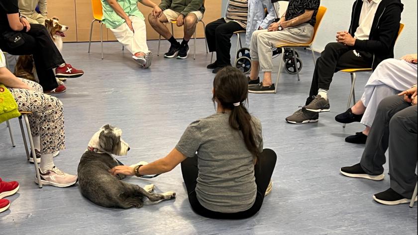 Taller de Intervención Asistida con Animales