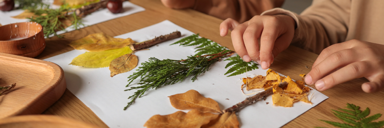 trabajos artísticos con elementos naturales