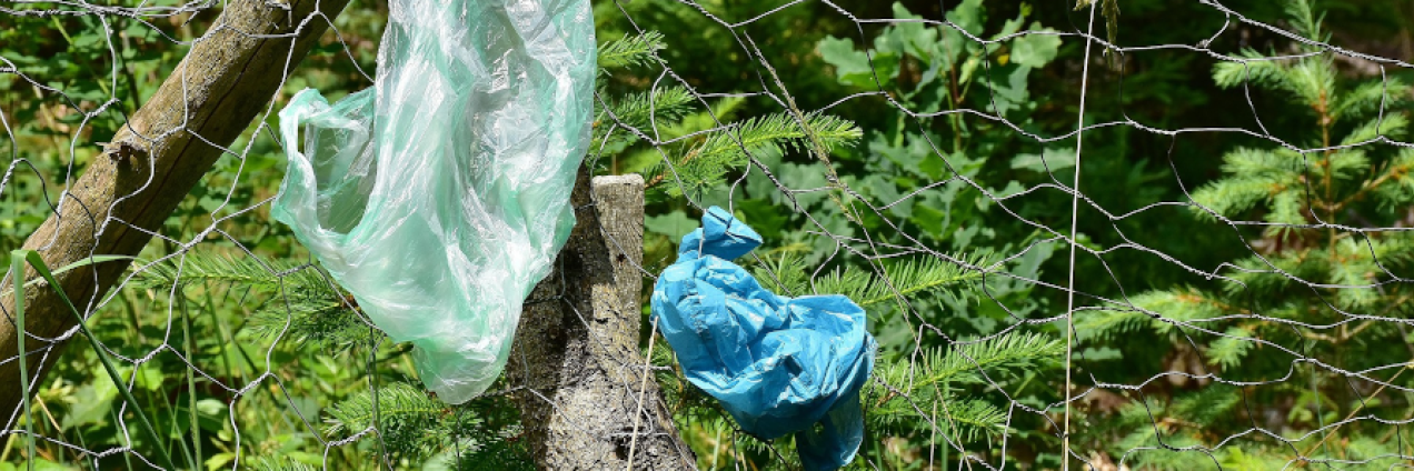 bolsas de plástico usadas tiradas en la naturaleza