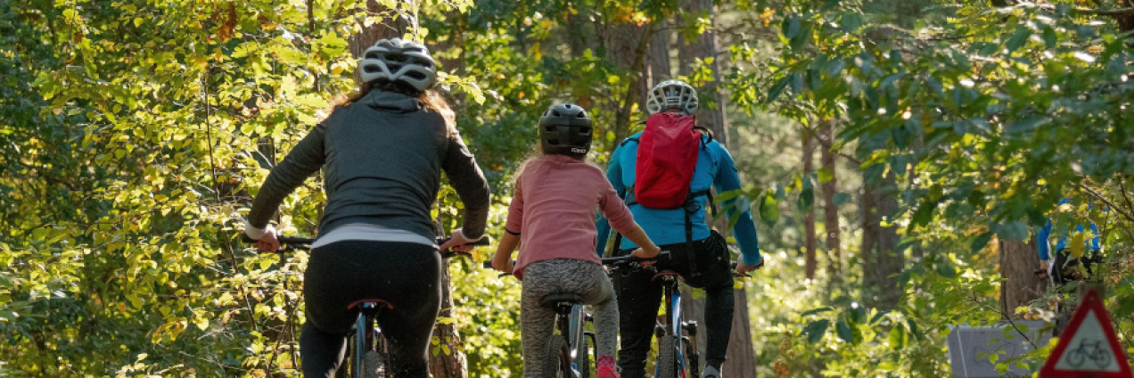 Familia en bicicleta por la naturaleza