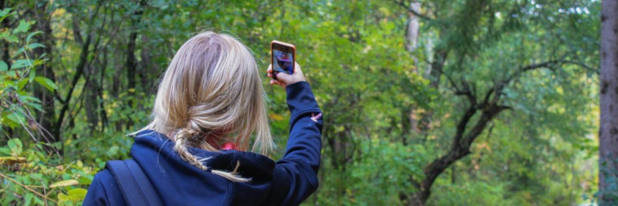 Niña haciendo fotos en la naturaleza con teléfono móvil