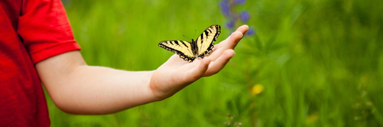 Mano de un niño con una mariposa