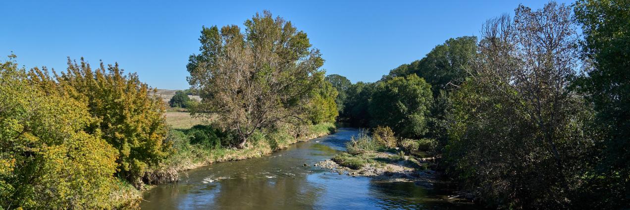 Río Manzanares