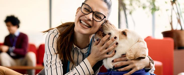 Persona con discapacidad abraza a un perro de asistencia en una oficina con otras personas conversando al fondo