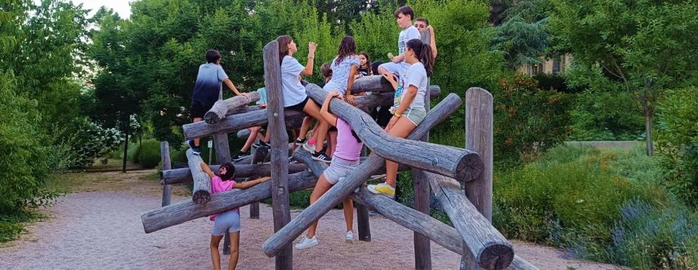 chicos y chicas en una estructura de palos de madera