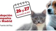 Banner salon adopcion 2024