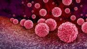 foto con bacterias de clamidia