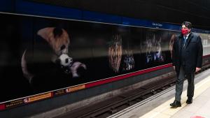 El consejero de Transportes, David Pérez, observa los murales en la estación