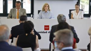 La consejera Concepción Dancausa durante su intervención