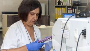 profesional sanitario trabajando en el proyecto