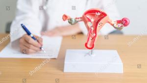 prueba prueba