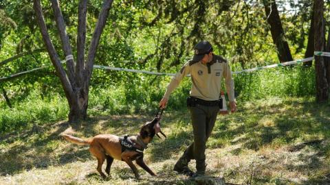 La Comunidad de Madrid inicia una campaña de  vigilancia para la detección de cebos envenenados  en el medio natural y en terrenos cinegéticos  