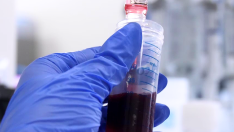 Mano con guante azul con una jeringa con líquido rojo y de fondo laboratorio
