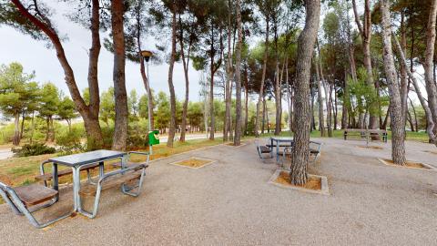 Otra vista del jardín donde se ven aún más árboles y mesas para jugar ajedrez.