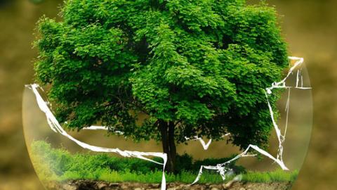 Etiqueta ecológica