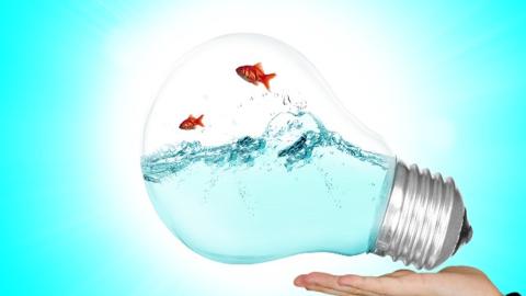 Declaración responsable de proveedores de servicios energéticos