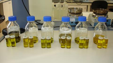 Muestras de aceite en el laboratorio agrolimentario