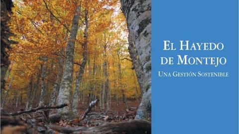 Hayedo de Montejo