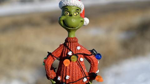 Foto personaje navideño