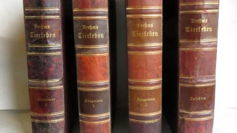 imagen de cubiertas de cuatro libros