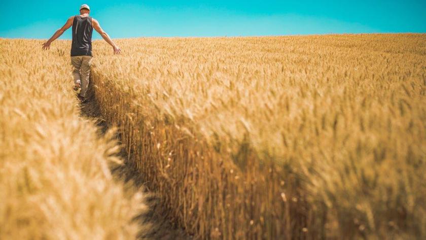 Joven en campo de cereales
