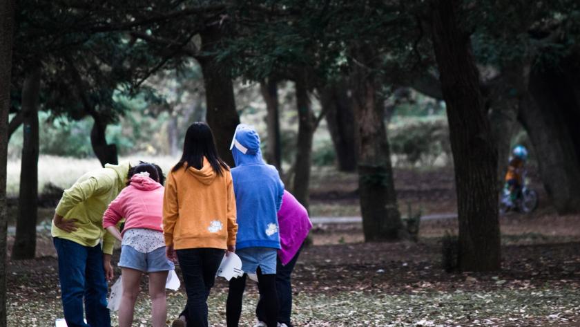 Ir a la página web de Educación Secundaria Adolescentes paseando por el campo.