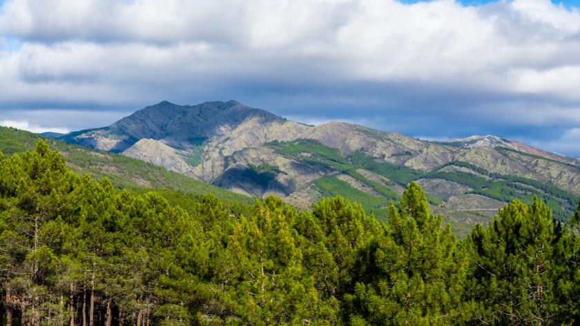 Paisaje de la Sierra Norte