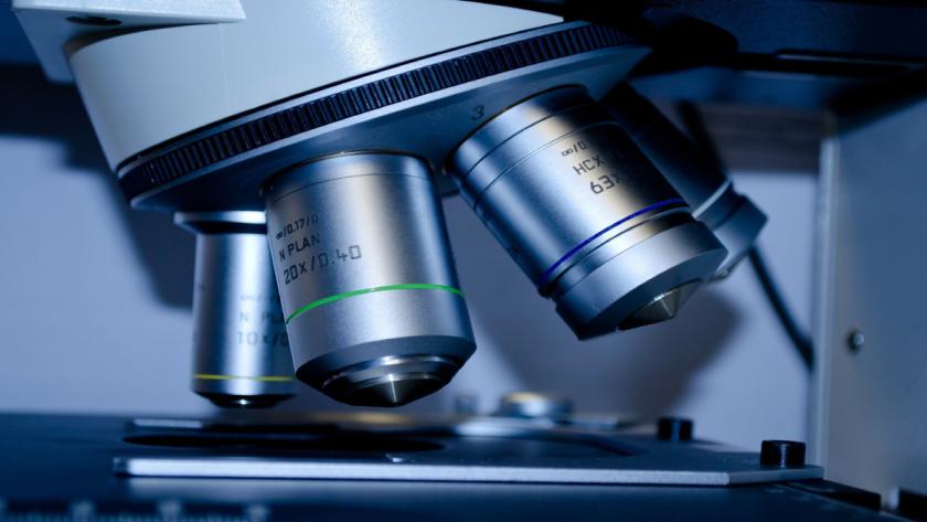 foto microscopio