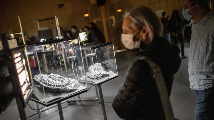 Una mujer observa una de las piezas