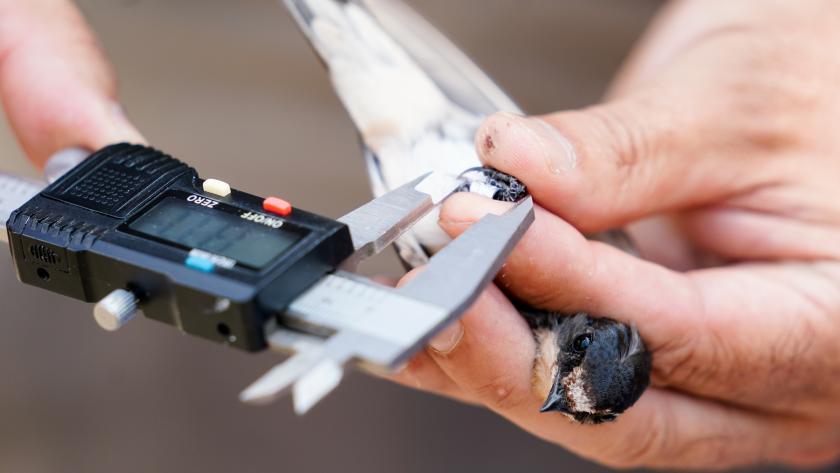 La consejera Paloma Martín ha visitado el espacio natural en Chinchón para supervisar los trabajos de restauración realizados