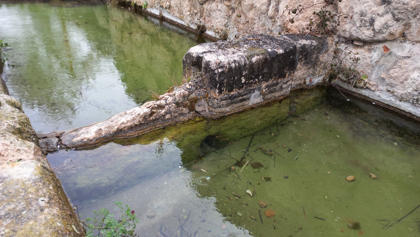 Estado de la fuente