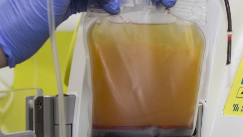 Bolsa de plasma